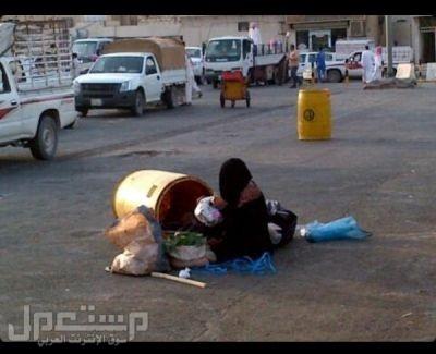 طاش ما طاش.. سلمان نبش بيت المال والمواطن جيبه 